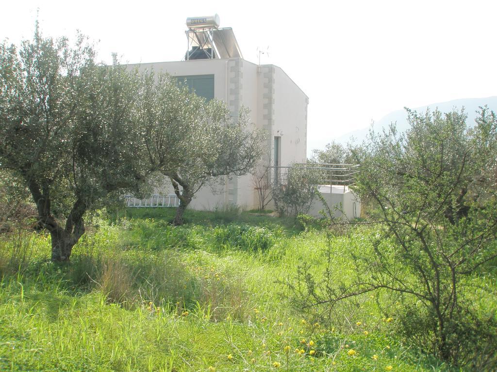 Ktima Nikolaos Aronion